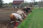 Every one enjoying their dinner.